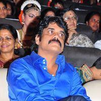 Nagarjuna Akkineni - Telugu Stars at 17th International Childrens Film Festival